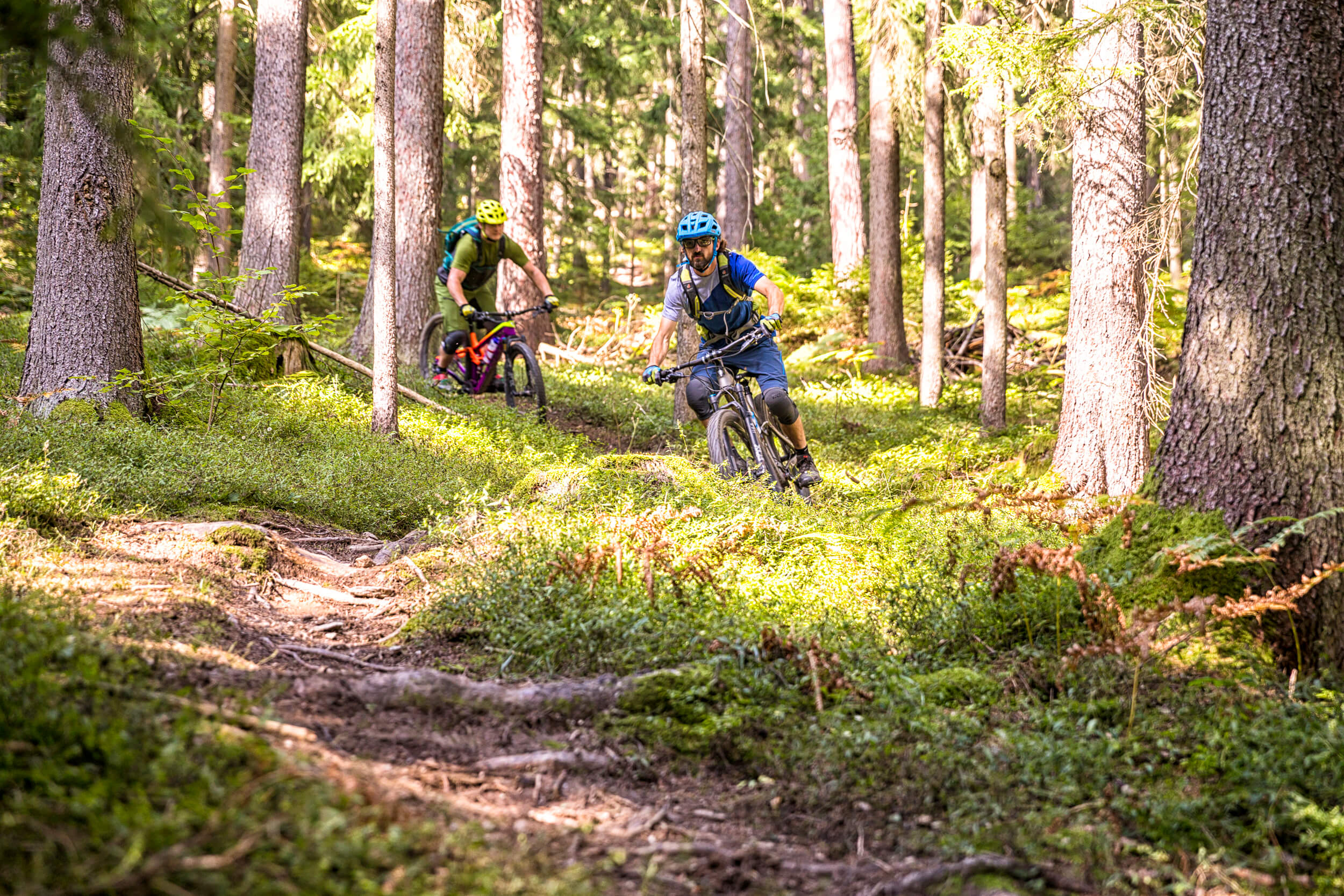 Trailpark Jamnica in den Slowenischen Alpen - Koroska